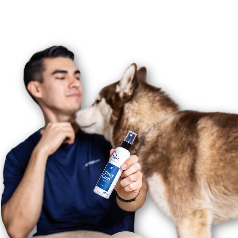 Shiny Coat - Acondicionador