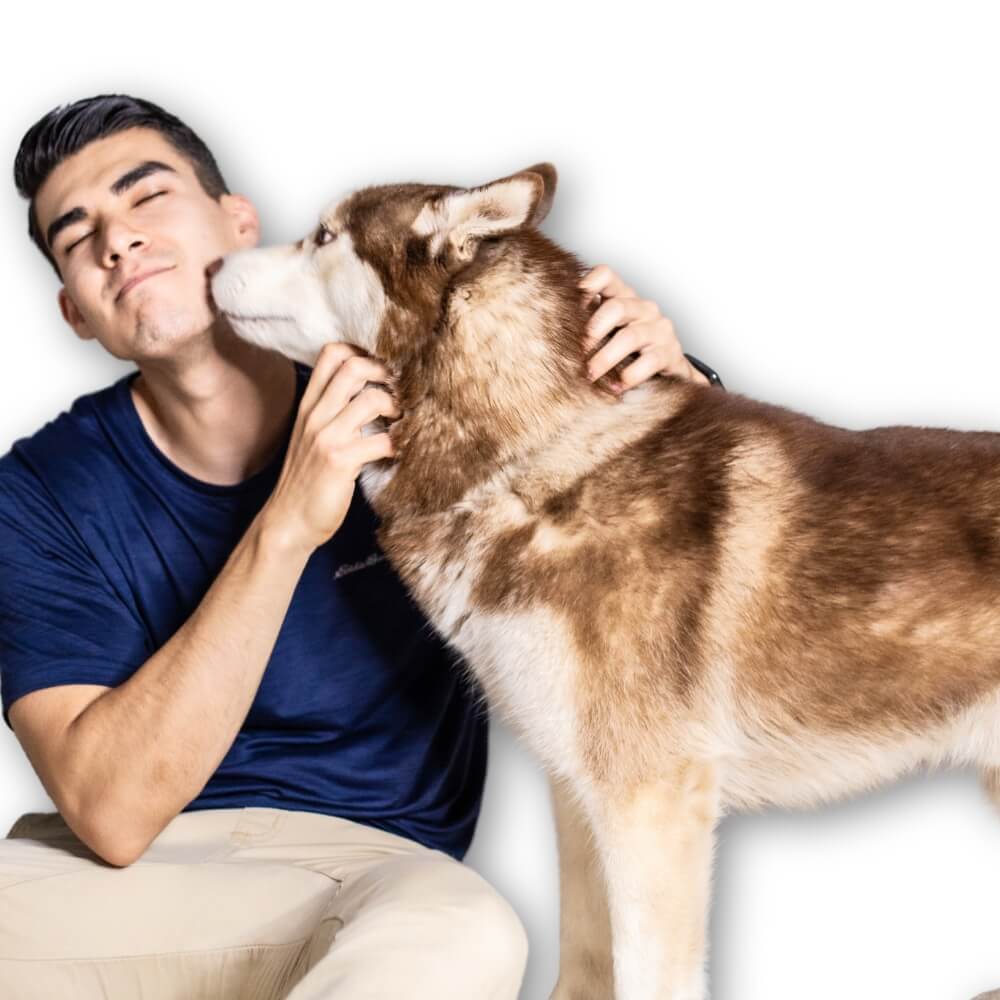 Dog Shield - Talco antipulgas