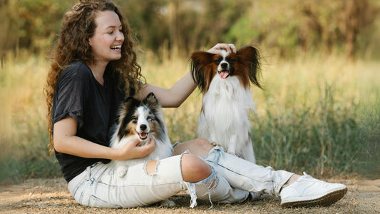 8 Consejos Prácticos para Mantener a tu Perro Limpio, Feliz y sin Estrés