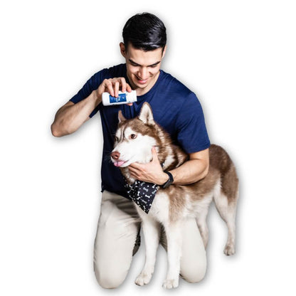 Dog Shield - Talco antipulgas