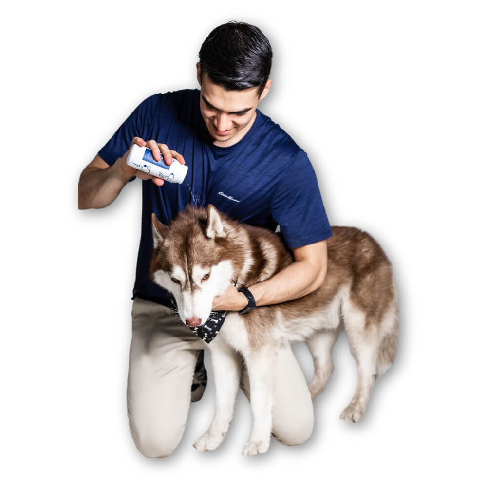 Dog Shield - Talco antipulgas