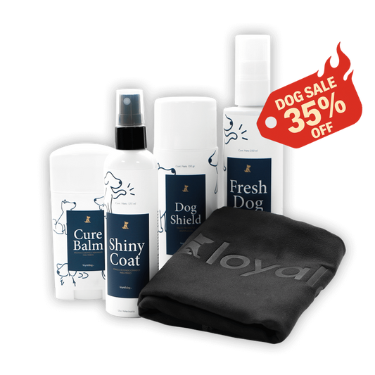 Dog Care Kit - Shampoo, bálsamo, acondicionador, talco y toalla