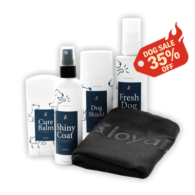Dog Care Kit - Shampoo, bálsamo, acondicionador, talco y toalla
